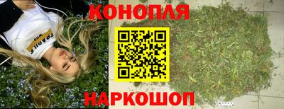 не бодяженный Гатчина