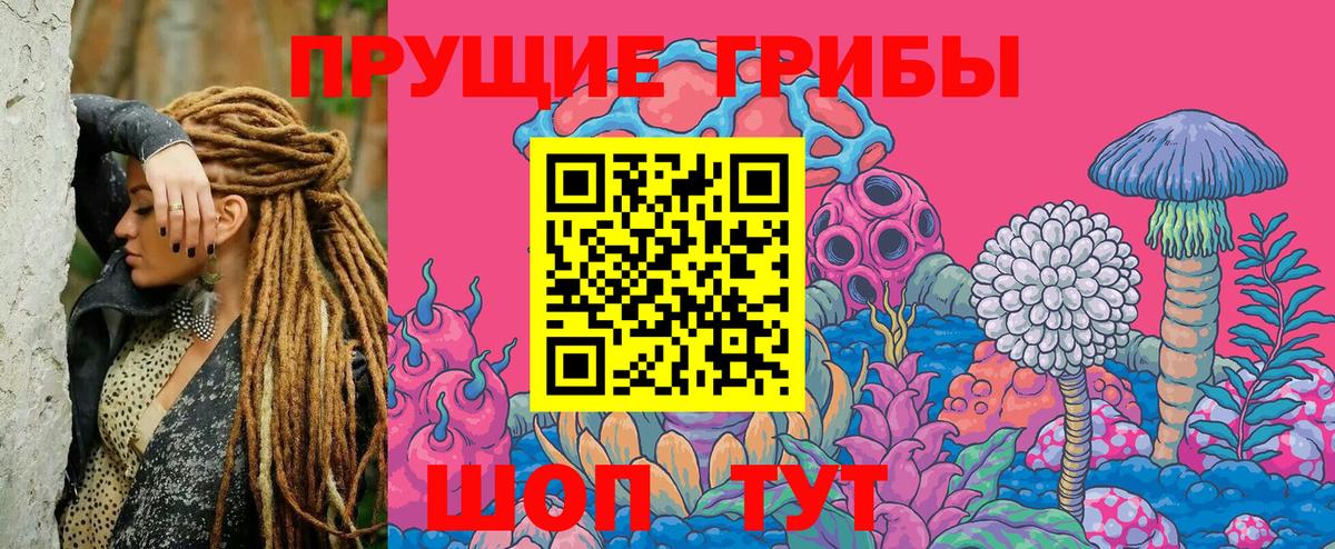 Псилоцибиновые грибы Cubensis Липецк